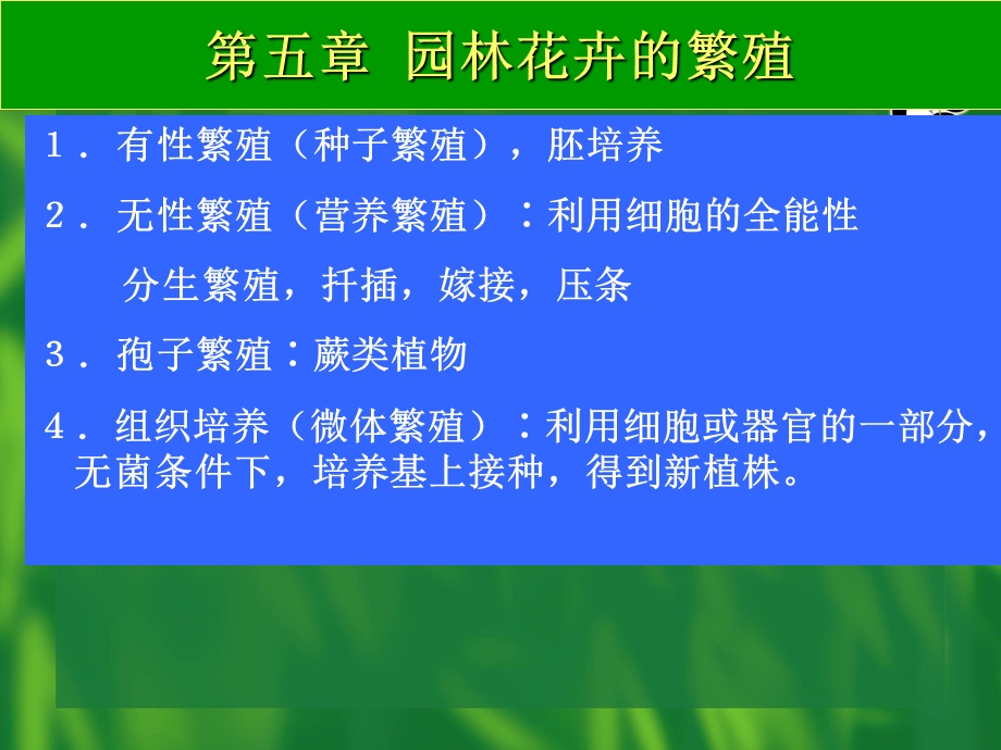 园林花卉学：第五章园林花卉的繁殖课件.ppt_第3页