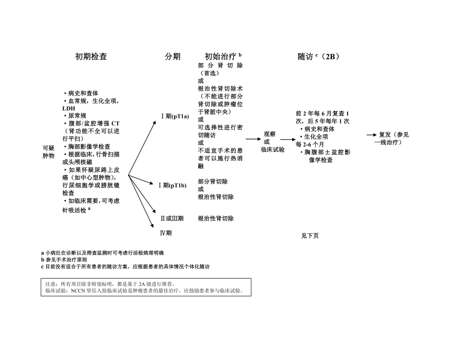 肾癌NCCN指南第1版.doc_第2页