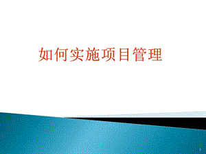 项目管理实施培训讲义课件.ppt