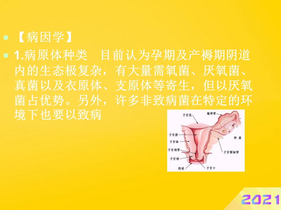 妇产科ppt课件优秀.ppt_第3页