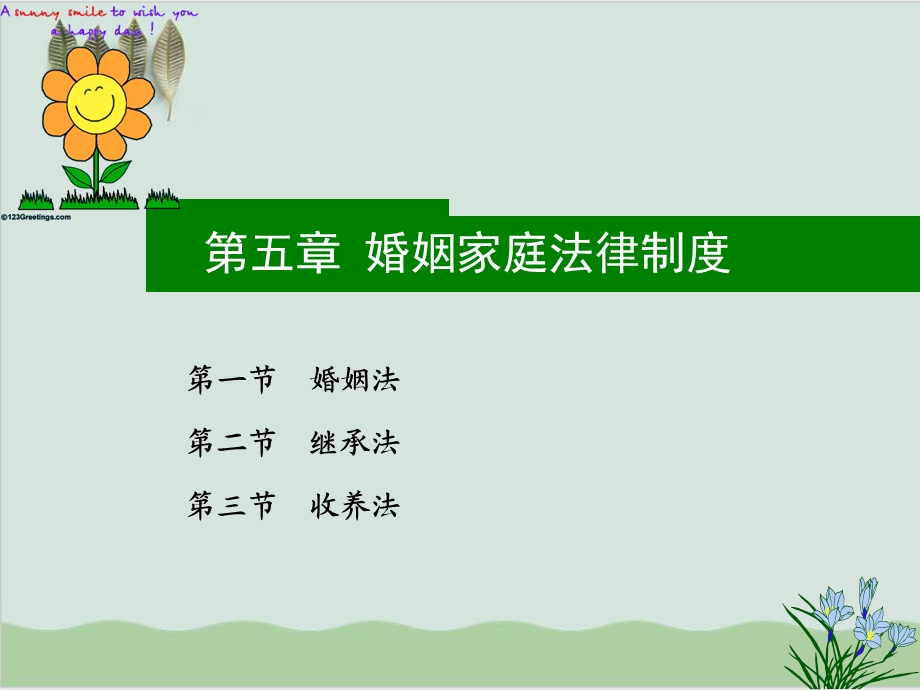 婚姻家庭法律制度讲义课件.ppt_第2页