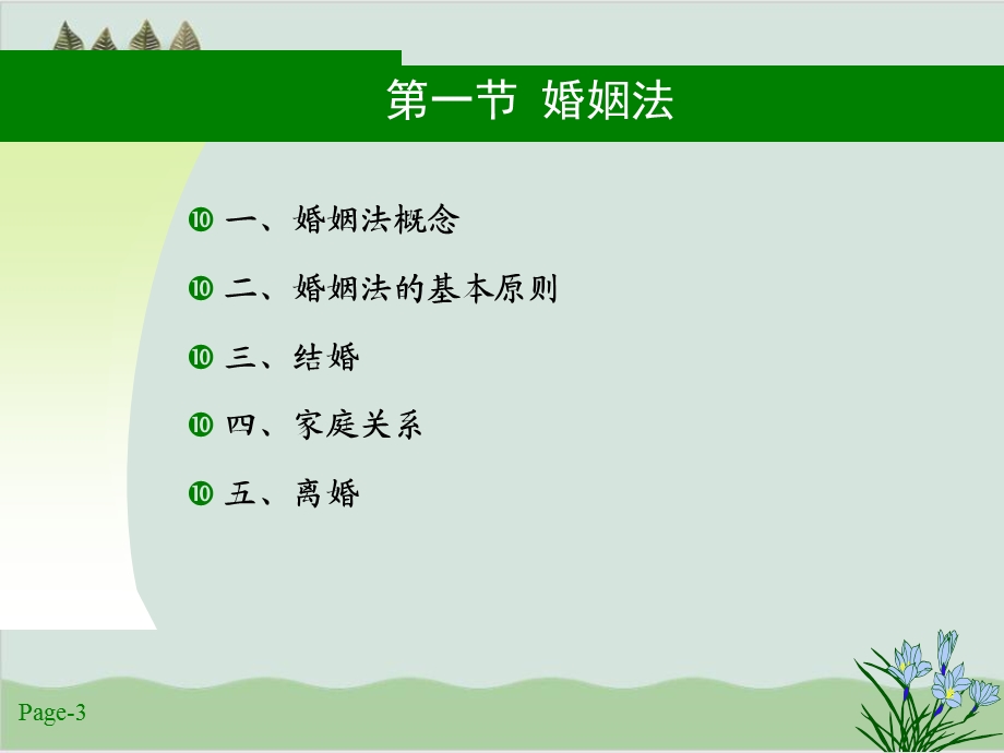 婚姻家庭法律制度讲义课件.ppt_第3页