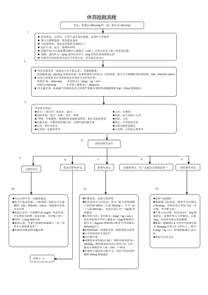 休克抢救流程.doc