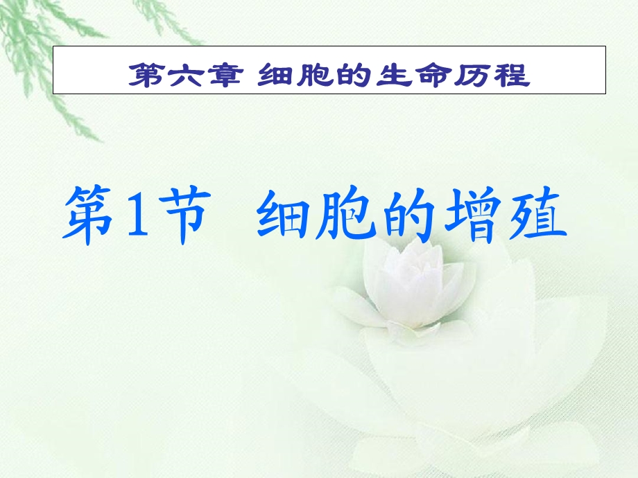 高一生物ppt课件.ppt_第2页