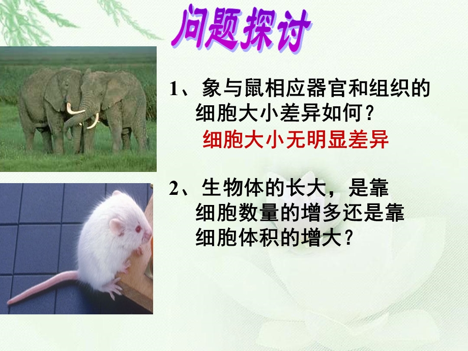 高一生物ppt课件.ppt_第3页