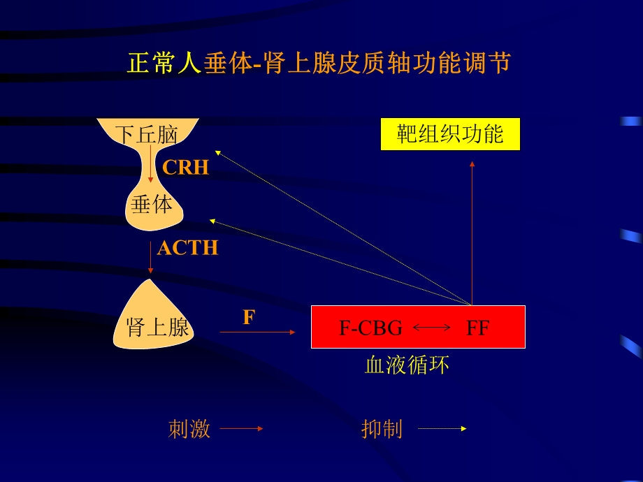 垂体肾上腺轴功能检查课件.ppt_第2页