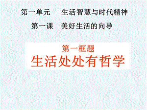 高二政治 生活与哲学 第一课第一框生活处处有哲学ppt课件人教版必修.ppt