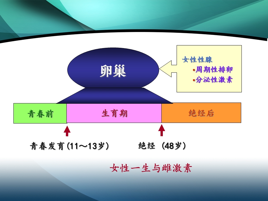 妇科内分泌疾病课件.pptx_第3页