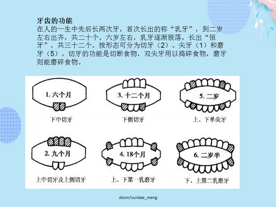 口腔护理牙齿健康PPT资料(完整版)课件.ppt_第3页