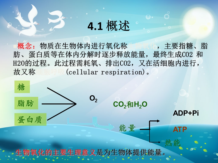 食品生物化学生物氧化ppt课件.ppt_第1页