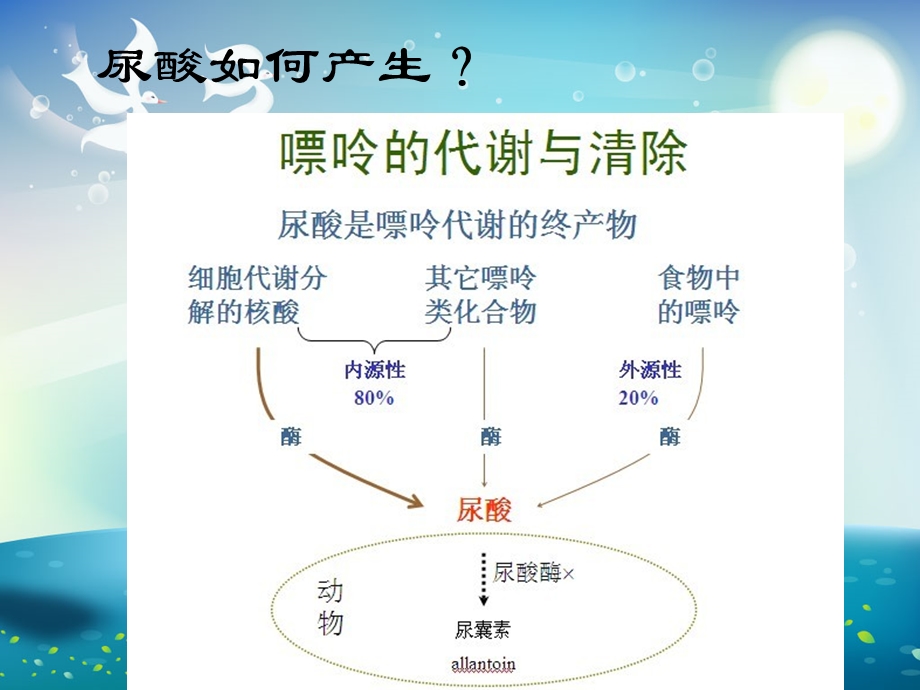 高尿酸血症与痛风的饮食管理ppt课件.ppt_第3页