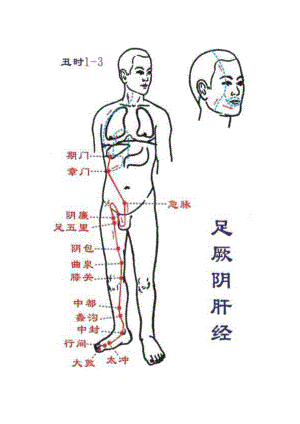 十二经络高清图(包含经络穴位).doc