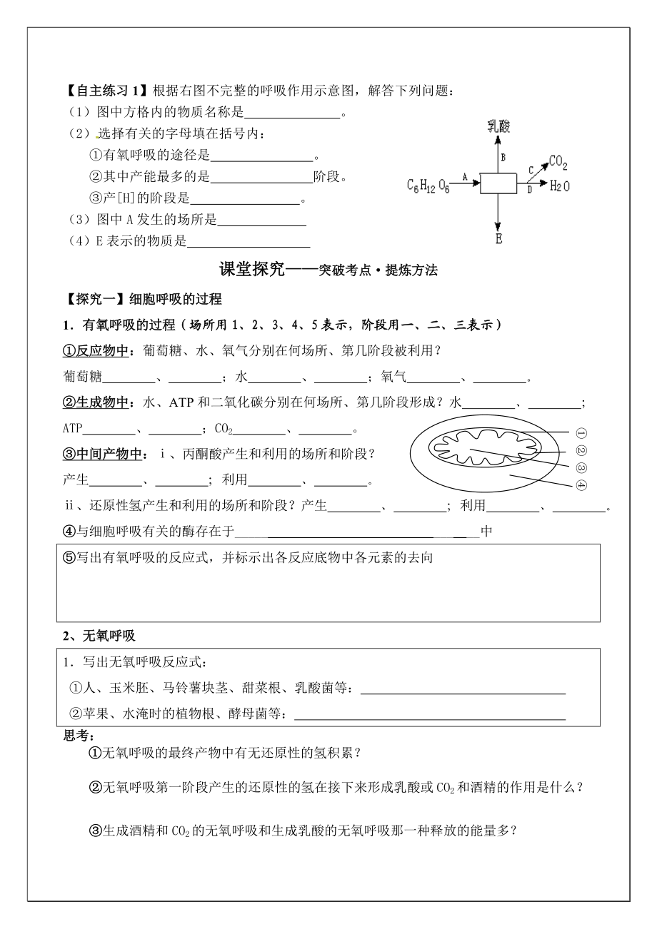 人教版高三生物一轮复习学案《细胞呼吸》 .doc_第2页