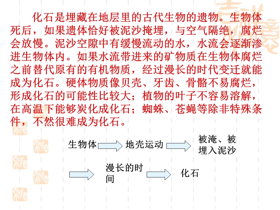 奇异的琥珀(用)全解课件.ppt_第3页