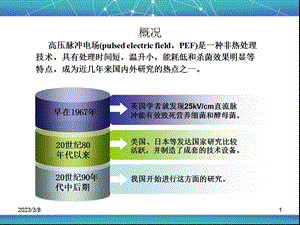 高压脉冲电场杀菌课件.ppt