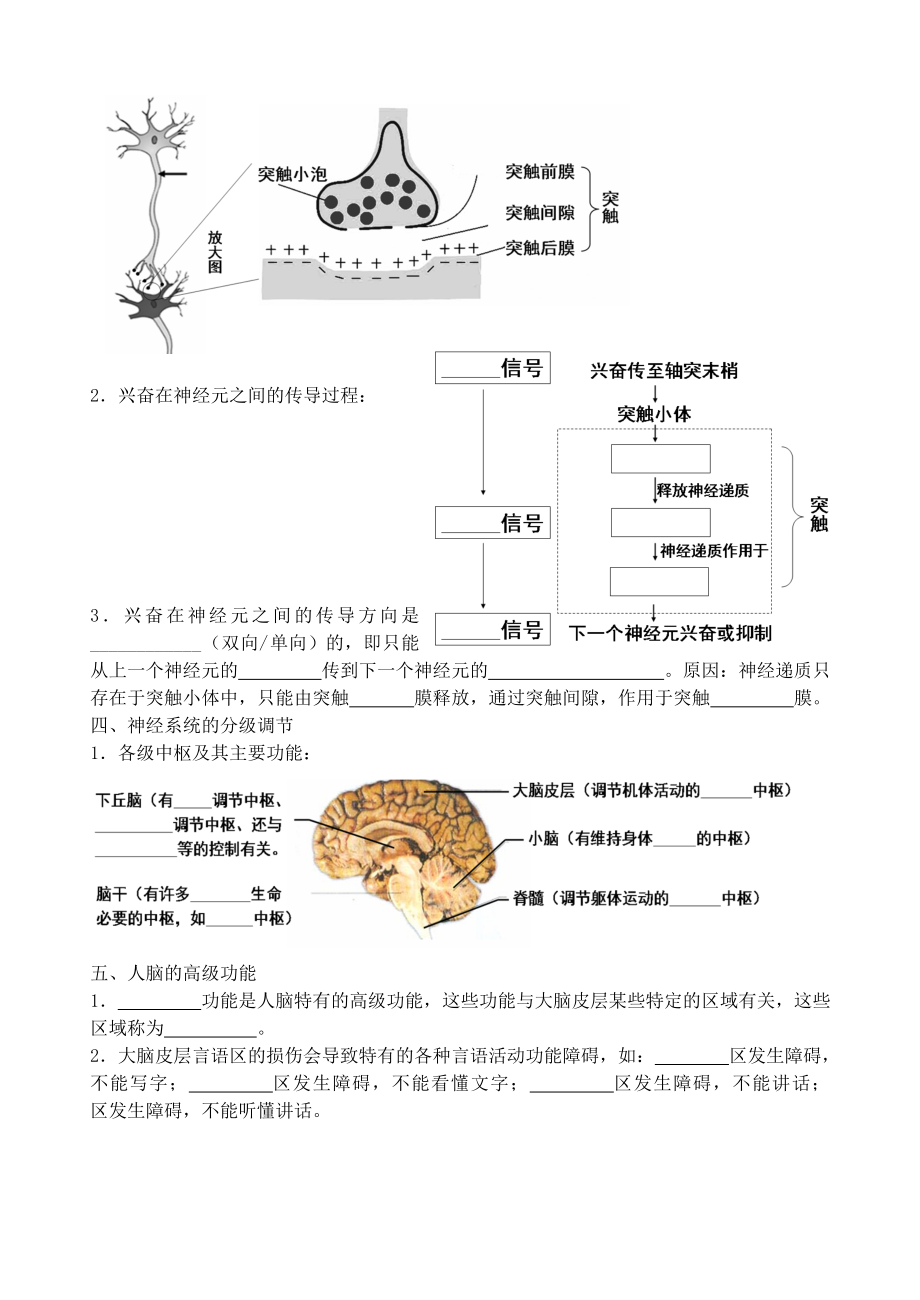 神经调节的结构基础和反射.doc_第2页