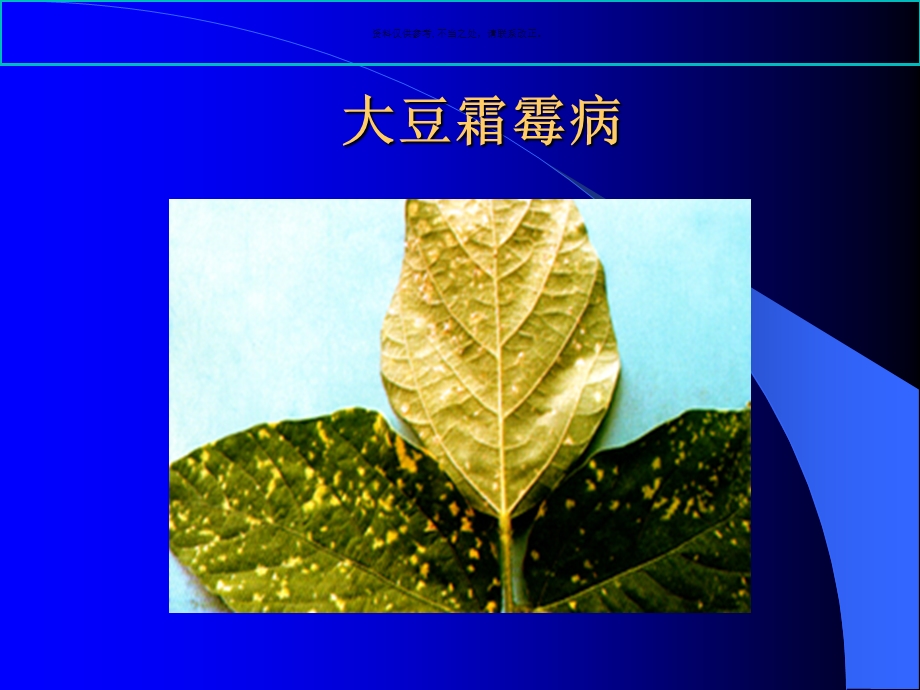 大豆病害防治技术课件.ppt_第3页