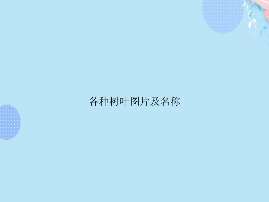 各种树叶图片及名称PPT资料(完整版)课件.ppt_第1页