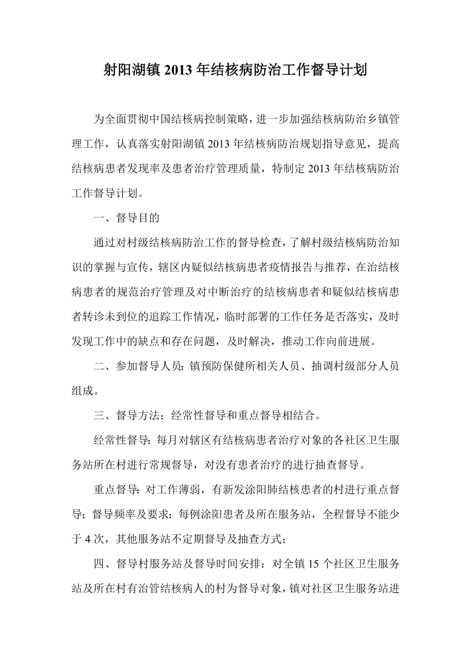 13结核病督导计划.doc_第1页