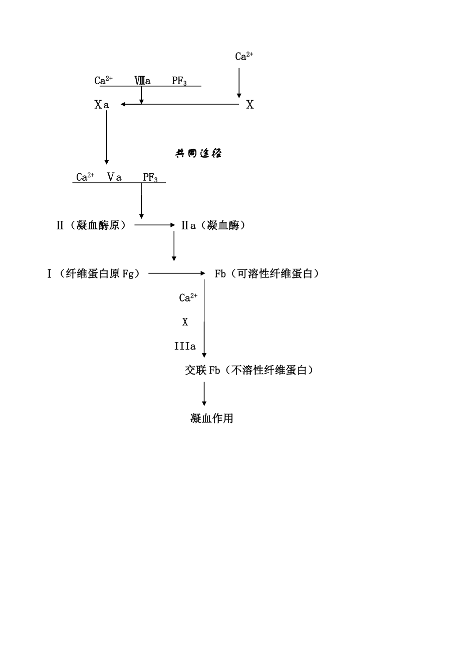 血栓与止血基础理论及临床应用.doc_第2页