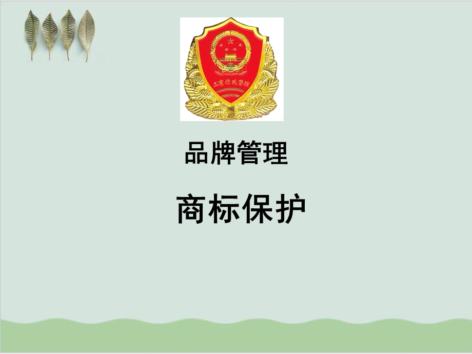 品牌管理师培训之商标保护课件.ppt_第1页