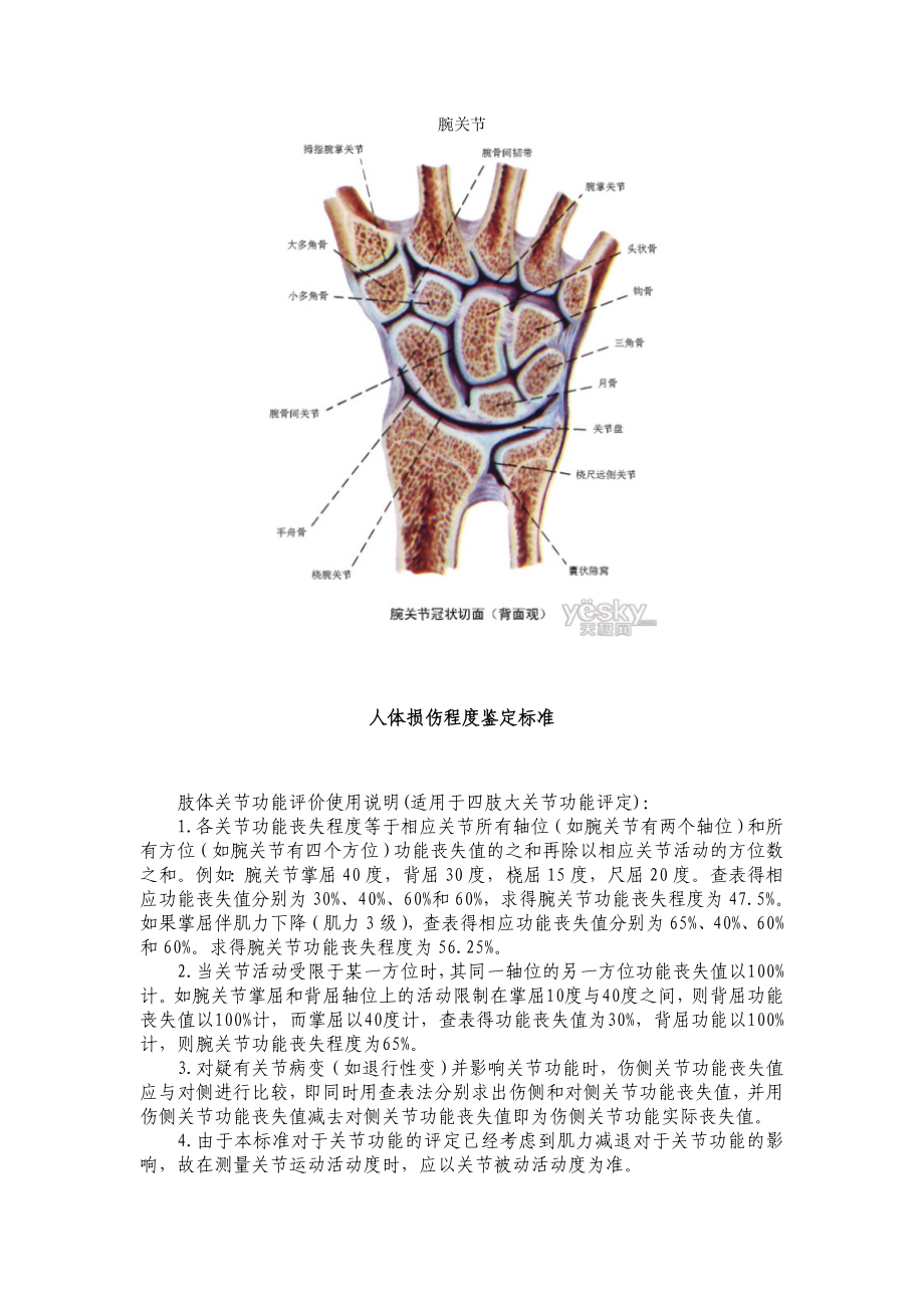 腕关节功能评分.doc_第1页