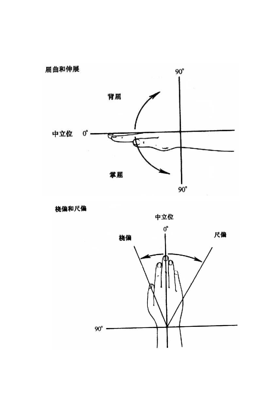 腕关节功能评分.doc_第2页