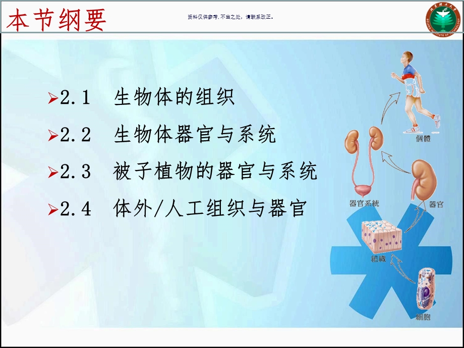 器官组织和系统课件.ppt_第1页