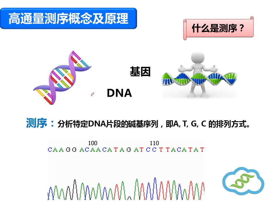 高通量测序基础学习培训课件.pptx_第3页