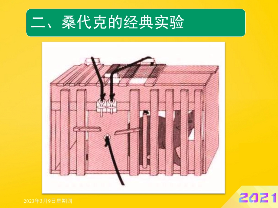 学习的联结理论课件.ppt_第3页