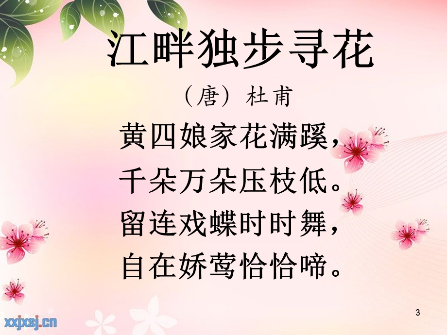 古诗《江畔独步寻花》课件.ppt_第3页