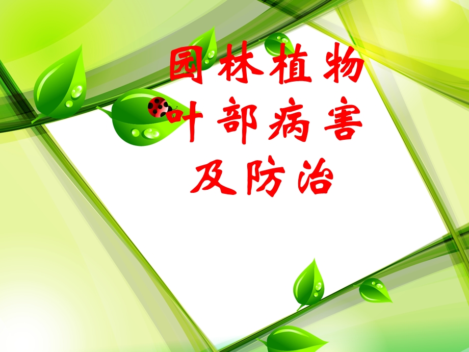 园林植物叶部病害及防治课件.ppt_第1页