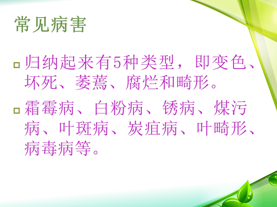 园林植物叶部病害及防治课件.ppt_第3页