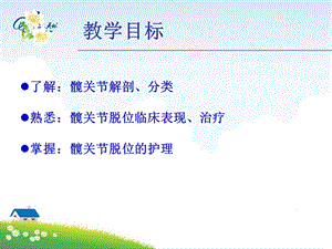 髋关节脱位护理课件.ppt