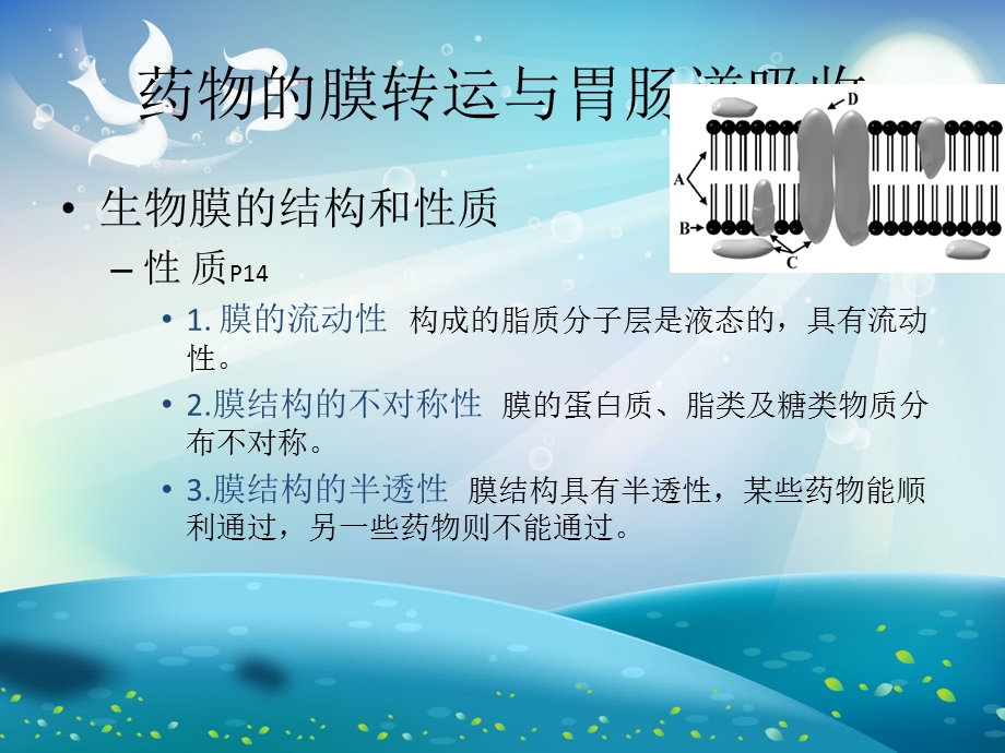 口服药物的吸收ppt课件.ppt_第3页