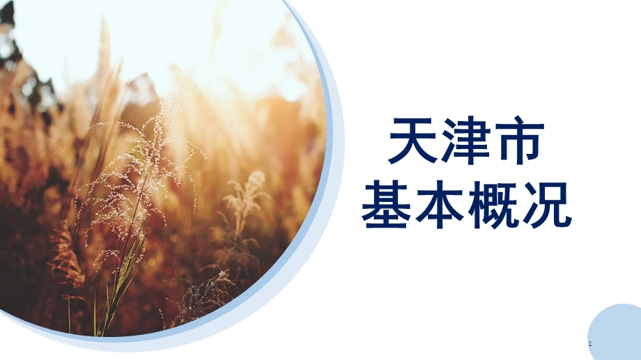 天津市基本概况课件.ppt_第1页