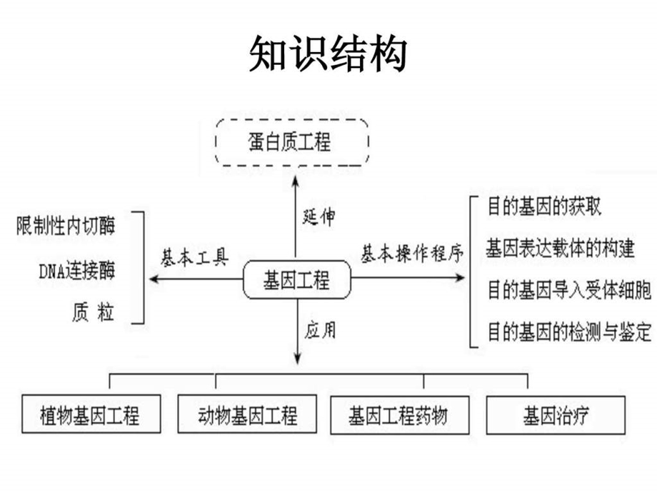 基因工程一轮复习（上课用）课件.ppt_第3页