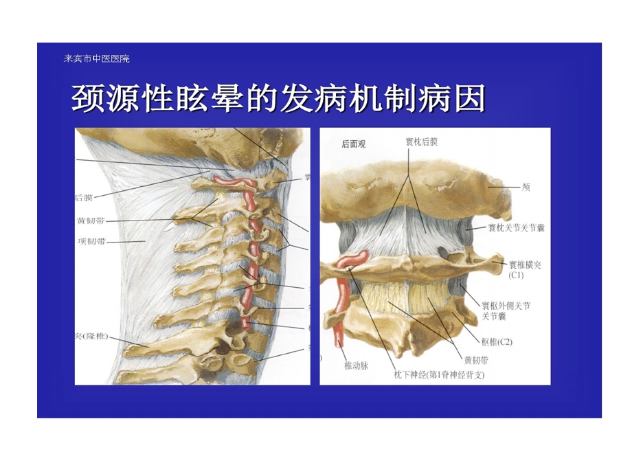 颈源性眩晕诊疗方案课件.ppt_第3页