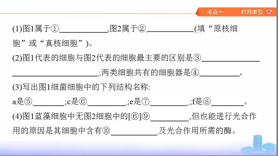 原核细胞和真核细胞课件.pptx_第3页