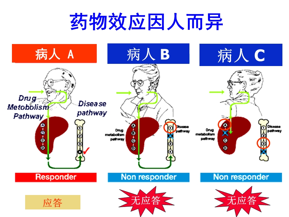 基因导向的个体化用药研究前沿课件.pptx_第3页