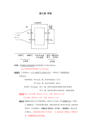 呼吸完整版(生理整理笔记).doc