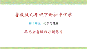 鲁教版九年级下册化学 第10单元 化学与健康 单元全套重点习题练习复习ppt课件.ppt