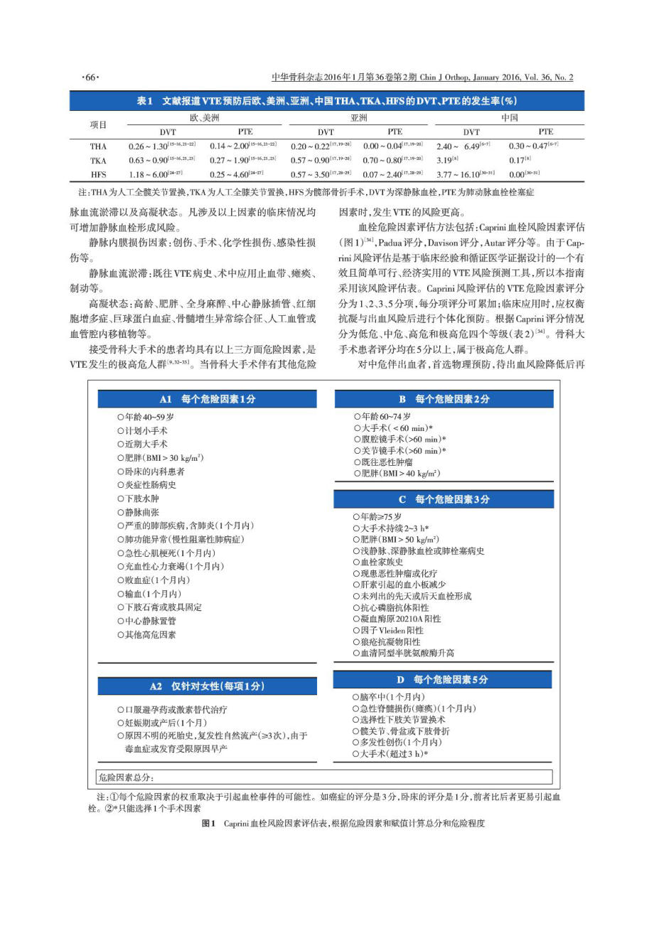 中国骨科大手术静脉血栓栓塞症预防指南(修订).doc_第2页