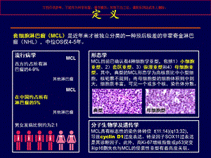 套细胞淋巴瘤的治疗进展培训ppt课件.ppt