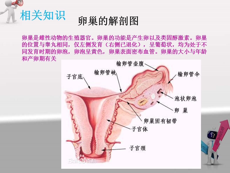 卵巢囊肿护理教学查房ppt课件.ppt_第2页