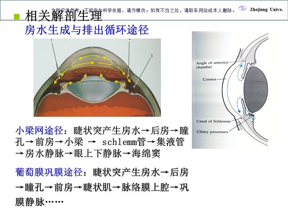 青光眼专业知识ppt课件.ppt_第2页