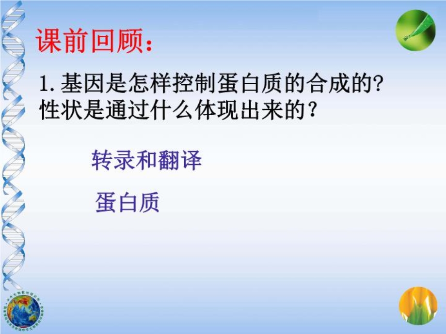 基因与性状课件.ppt_第2页