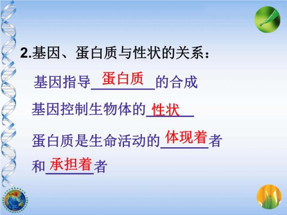 基因与性状课件.ppt_第3页