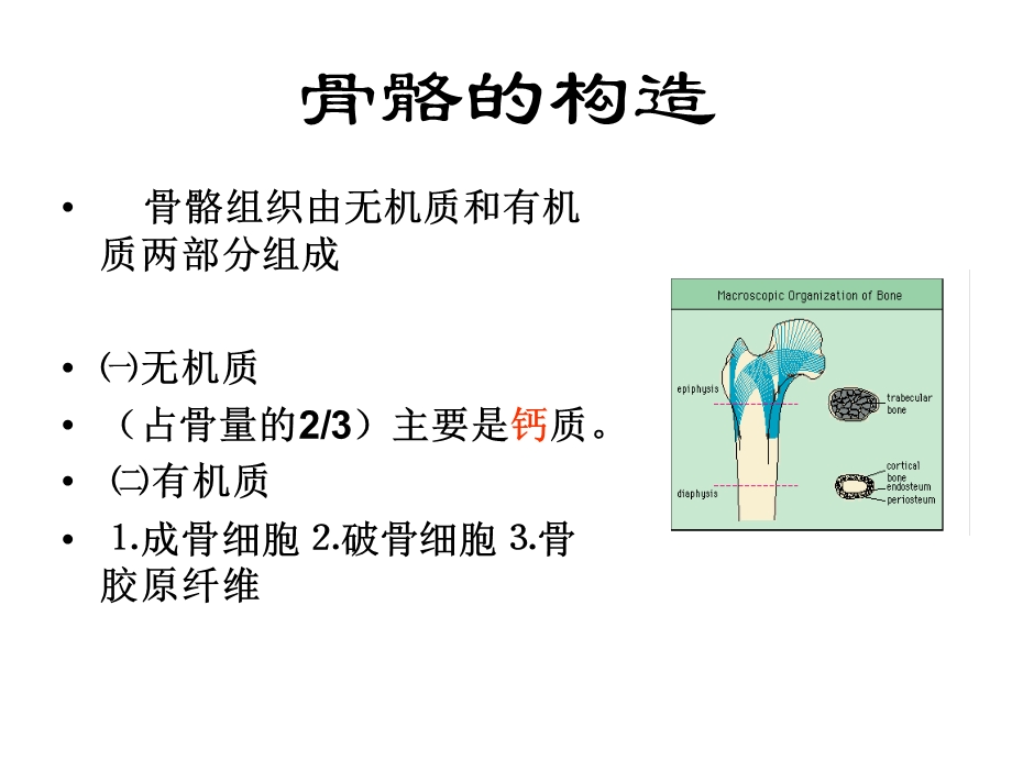 骨质疏松症的预防与治疗课件.ppt_第2页