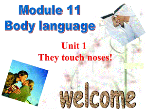 外研版英语七级下册课件：Module 11 Unit 1 They touch noses!.ppt